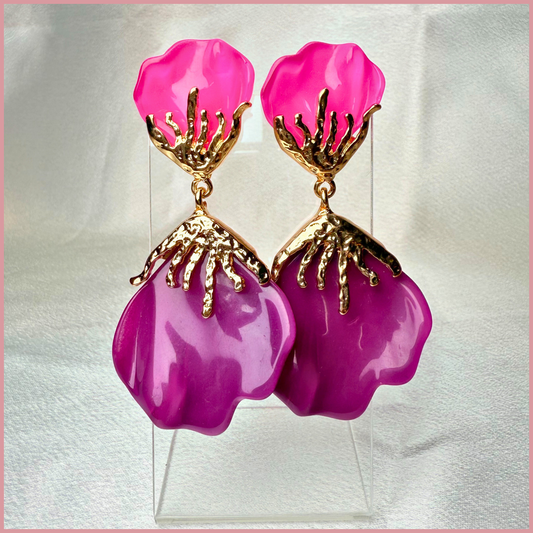 Orchid Pop